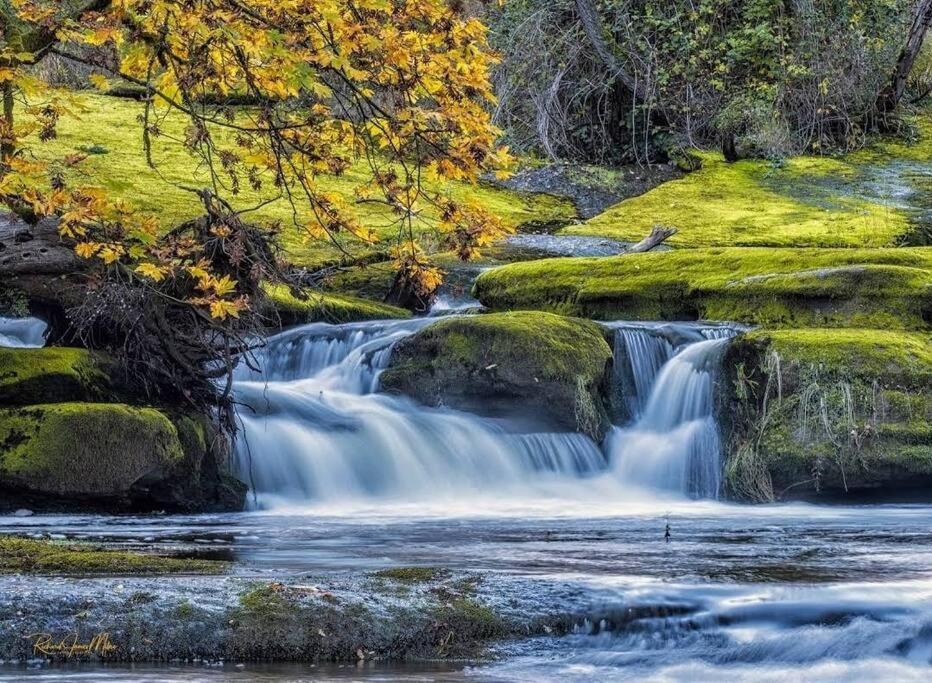 ナナイモ Nature Lovers' Paradiseヴィラ エクステリア 写真