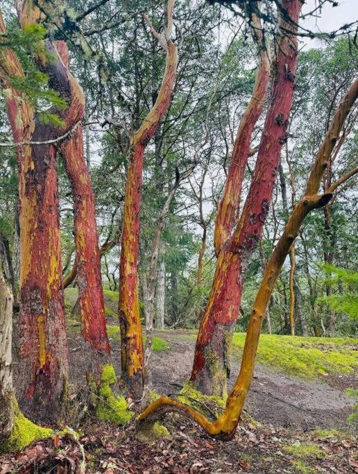 ナナイモ Nature Lovers' Paradiseヴィラ エクステリア 写真